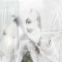 ecchiboi - ⁺˚*・shards of the past・⁺˚*･༓