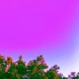 !Mayday! - Stay Blessed