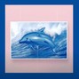 whatnow - dolphins