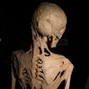 redead - BONEHIVE