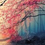 semperante - sakura