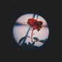 Vares - Souvenirs