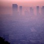 Telo - POLLUTION