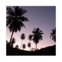 Kwilu - Tropicana
