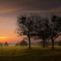 Andrew Rawlings - In the morning
