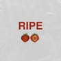 gokami | MORE BEATS IN PROFILE - Ripe