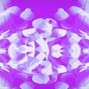 ProdPev - perc