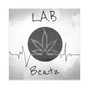 L.A.B. BEATZ - smove