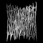 ddunccan - bacteria
