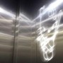 marek david - bright lights