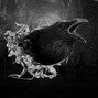 nineplus - BloodBorne