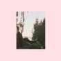 lamia - aloe garden