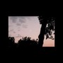 lamia - perspective