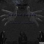 SATORI YAMATO - We Like That Shyt