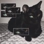CKELETOV - I Were Mine
