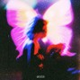 whyzoo - SHUTTER