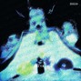 whyzoo - ECOLOGY 