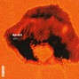 whyzoo - spa·tial