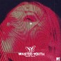 whyzoo - WASTED YOUTH