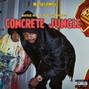 Beatsbyjerrell - Babyface Ray x Icewear Vezzo x Veeze type beat - Concrete Jungle