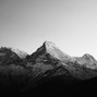 Dillieboi - Swiss Alps