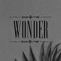 kolyakolis - WONDER