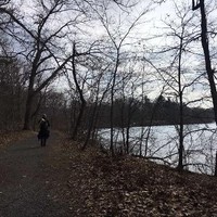 Forest G.