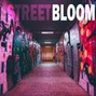 Bloom - Street