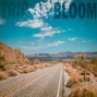 Bloom - Trip