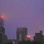 LEWI ASTRO - purple