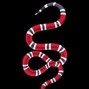 IntemforBeats - GUCCI