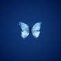 IntemforBeats - Butterfly