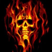 Lidity
