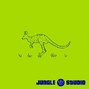 JUNGLE STUDIO - Bang Bang
