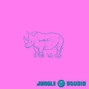 JUNGLE STUDIO - Infinity