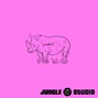 JUNGLE STUDIO - Distructed