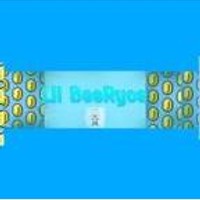 Lil BeeRyce