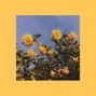 The Lost Beat - YELLOW.
