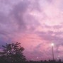NORTHRIM - Pink Sky