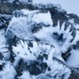NORTHRIM - Frost Bite