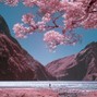 Luna - Path