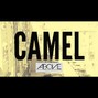 Above Sound - Camel - Arab Trap Type Beat