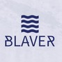 Blaver - Vibey Type beat "Chime"