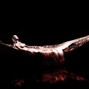 Phantom Roses - grotto