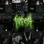 tendency - forest
