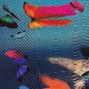anoush - sirup