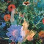 anoush - plants