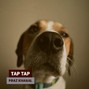 Kontraa - TAP TAP