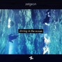 Zelgeon - Diving in the Ocean