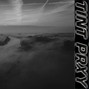Tint prxy - Early